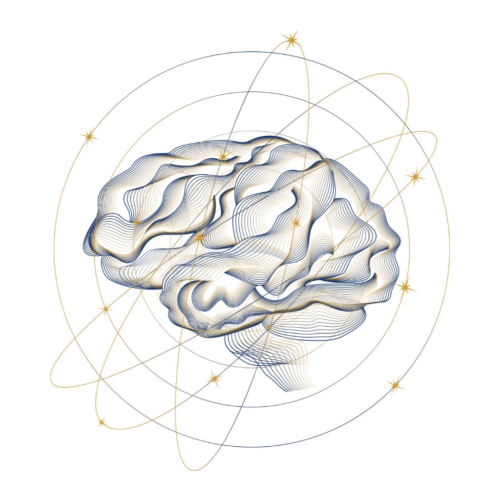 Fine line drawing of a human brain in navy and gold